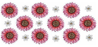 Pink Flowers