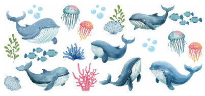 Blue Whales / Jelly Fish