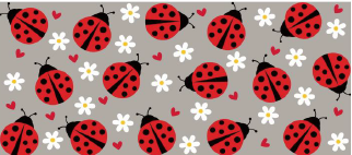 Lady Bugs / Flowers